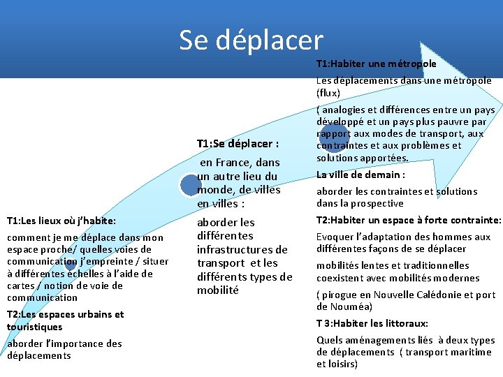 Se déplacer T 1: Habiter une métropole Les déplacements dans une métropole (flux) T