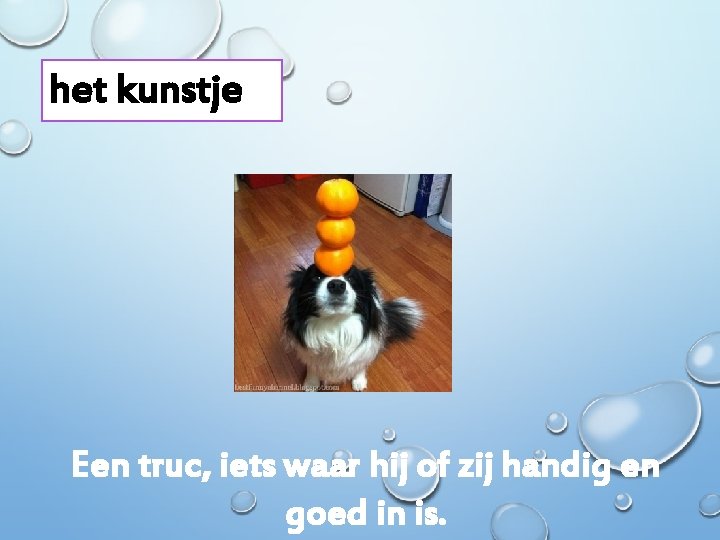 het kunstje Een truc, iets waar hij of zij handig en goed in is.