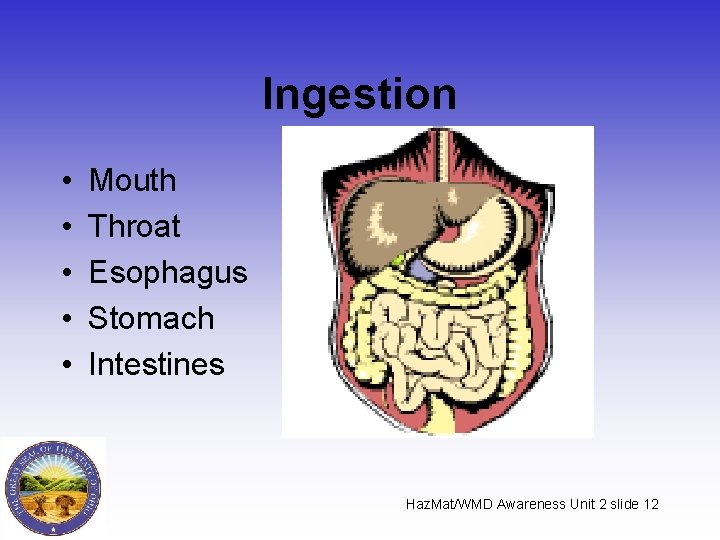 Ingestion • • • Mouth Throat Esophagus Stomach Intestines Haz. Mat/WMD Awareness Unit 2