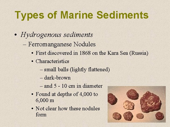 Types of Marine Sediments • Hydrogenous sediments – Ferromanganese Nodules • First discovered in