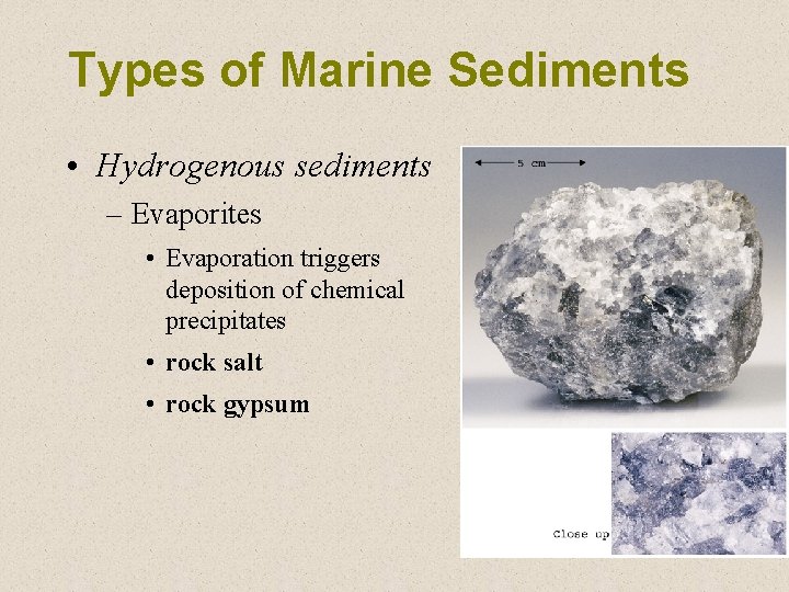 Types of Marine Sediments • Hydrogenous sediments – Evaporites • Evaporation triggers deposition of