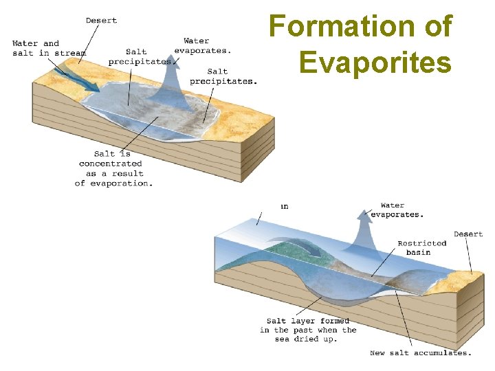 Formation of Evaporites 