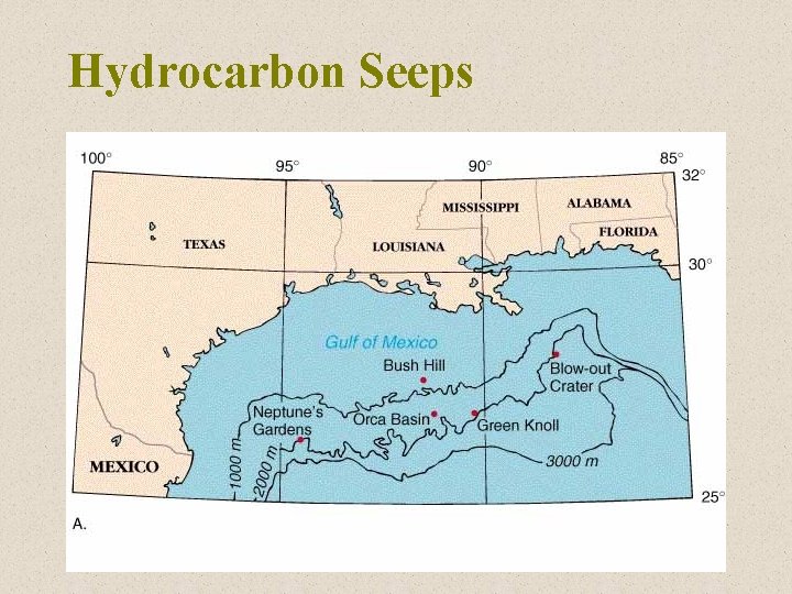 Hydrocarbon Seeps 