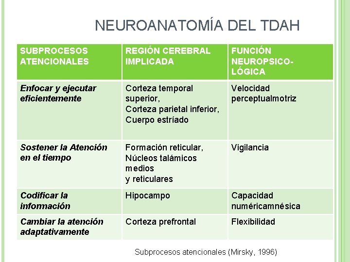 NEUROANATOMÍA DEL TDAH SUBPROCESOS ATENCIONALES REGIÓN CEREBRAL IMPLICADA FUNCIÓN NEUROPSICOLÓGICA Enfocar y ejecutar eficientemente