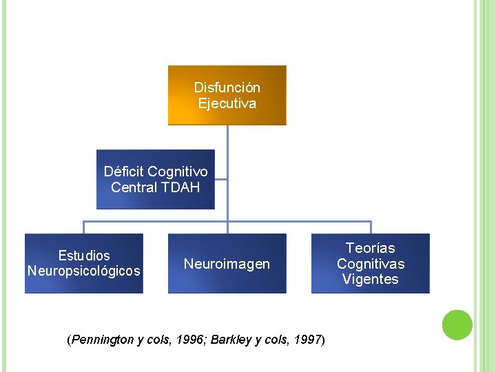 Disfunción Ejecutiva Déficit Cognitivo Central TDAH Estudios Neuropsicológicos Neuroimagen (Pennington y cols, 1996; Barkley