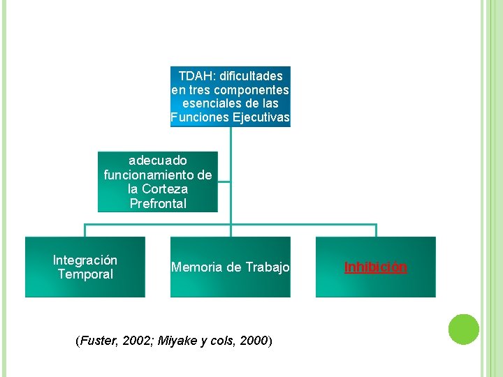 TDAH: dificultades en tres componentes esenciales de las Funciones Ejecutivas adecuado funcionamiento de la