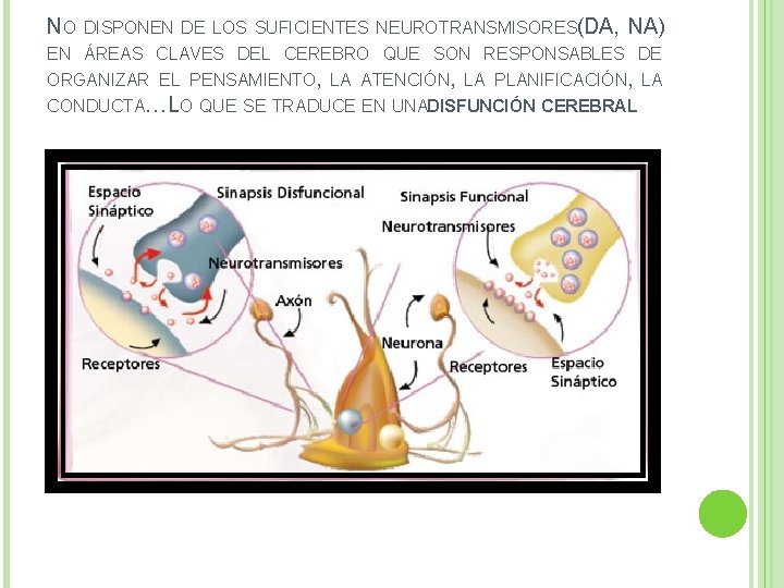 NO DISPONEN DE LOS SUFICIENTES NEUROTRANSMISORES(DA, NA) EN ÁREAS CLAVES DEL CEREBRO QUE SON