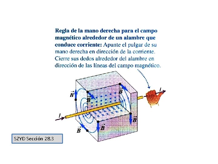 SZYD Sección 28. 3 