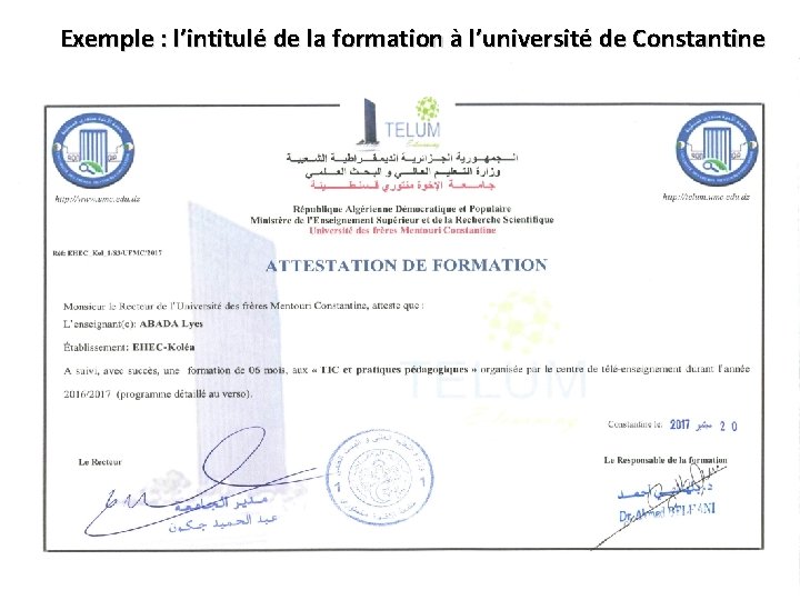 Exemple : l’intitulé de la formation à l’université de Constantine 