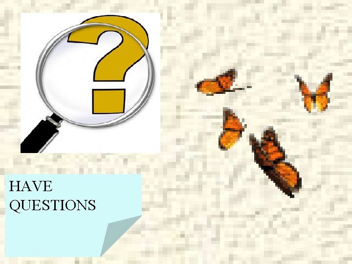 HAVE QUESTIONS 
