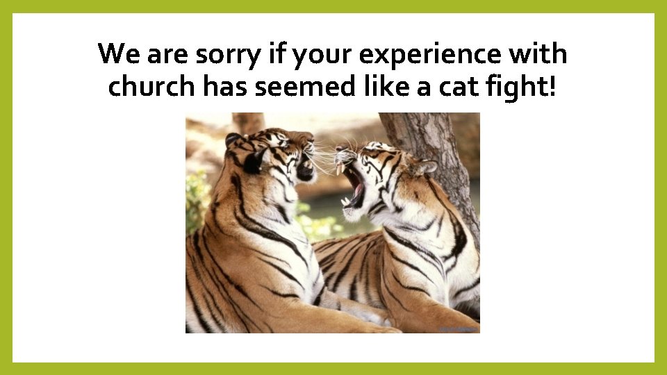 We are sorry if your experience with church has seemed like a cat fight!