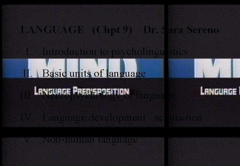 LANGUAGE (Chpt 9) Dr. Sara Sereno I. Introduction to psycholinguistics II. Basic units of