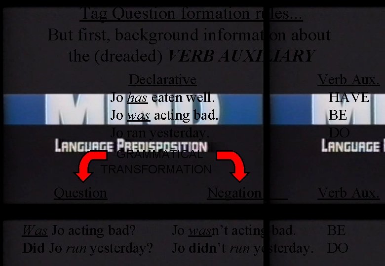 Tag Question formation rules. . . But first, background information about the (dreaded) VERB