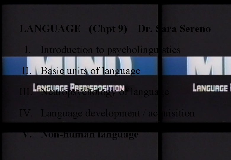 LANGUAGE (Chpt 9) Dr. Sara Sereno I. Introduction to psycholinguistics II. Basic units of