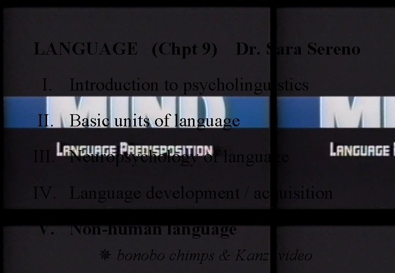 LANGUAGE (Chpt 9) Dr. Sara Sereno I. Introduction to psycholinguistics II. Basic units of