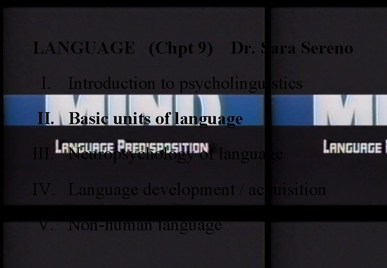 LANGUAGE (Chpt 9) Dr. Sara Sereno I. Introduction to psycholinguistics II. Basic units of
