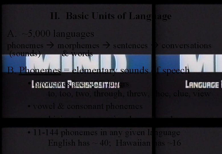 II. Basic Units of Language A. ~5, 000 languages phonemes morphemes sentences conversations (sounds)
