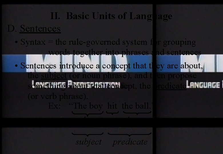 II. Basic Units of Language D. Sentences • Syntax = the rule-governed system for