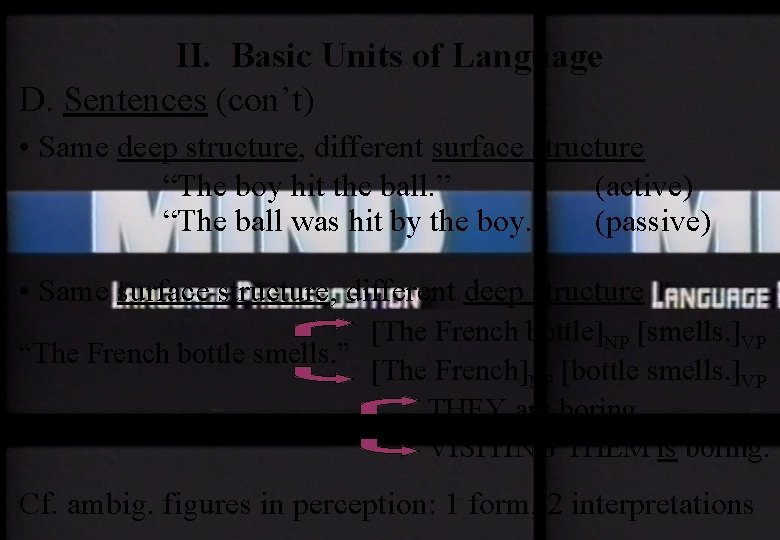 II. Basic Units of Language D. Sentences (con’t) • Same deep structure, different surface
