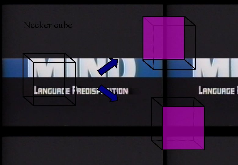 Necker cube 