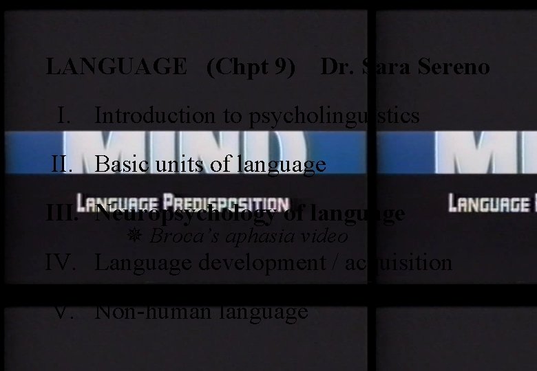 LANGUAGE (Chpt 9) Dr. Sara Sereno I. Introduction to psycholinguistics II. Basic units of