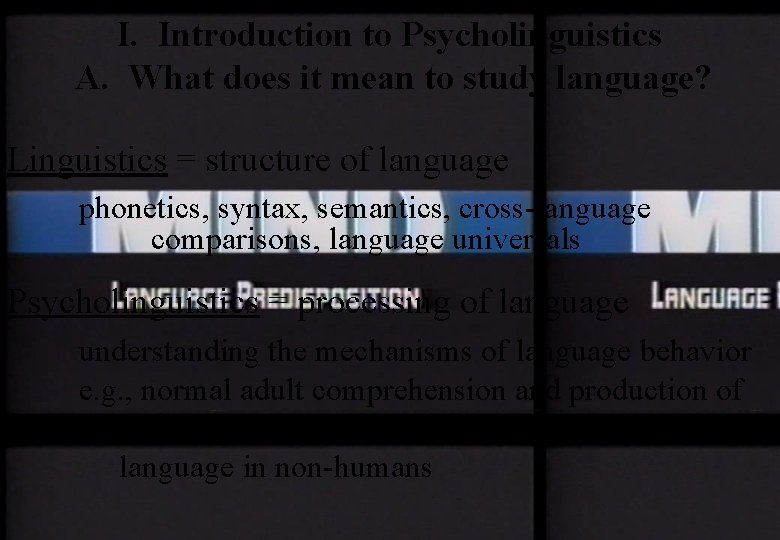 I. Introduction to Psycholinguistics A. What does it mean to study language? Linguistics =
