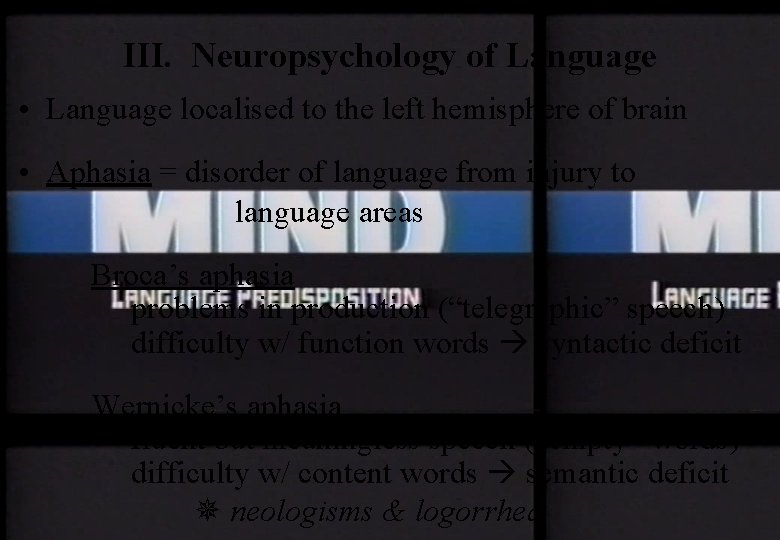 III. Neuropsychology of Language • Language localised to the left hemisphere of brain •