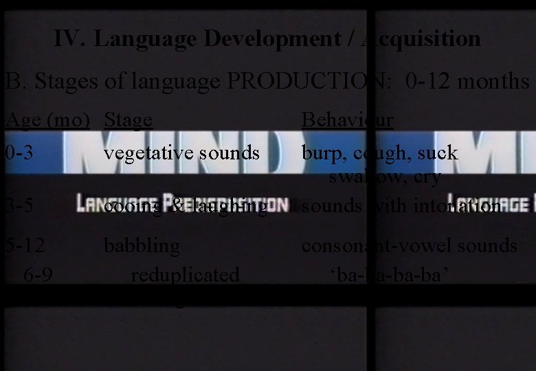 IV. Language Development / Acquisition B. Stages of language PRODUCTION: 0 -12 months Age