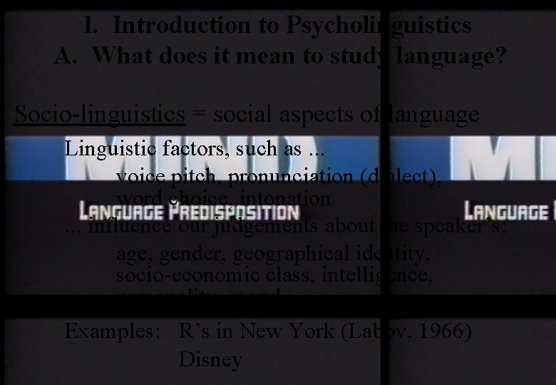 I. Introduction to Psycholinguistics A. What does it mean to study language? Socio-linguistics =