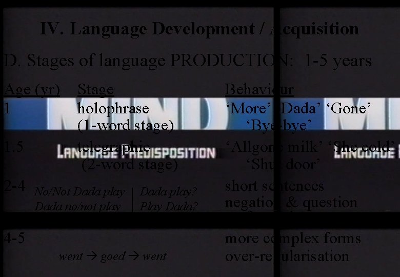 IV. Language Development / Acquisition D. Stages of language PRODUCTION: 1 -5 years Age