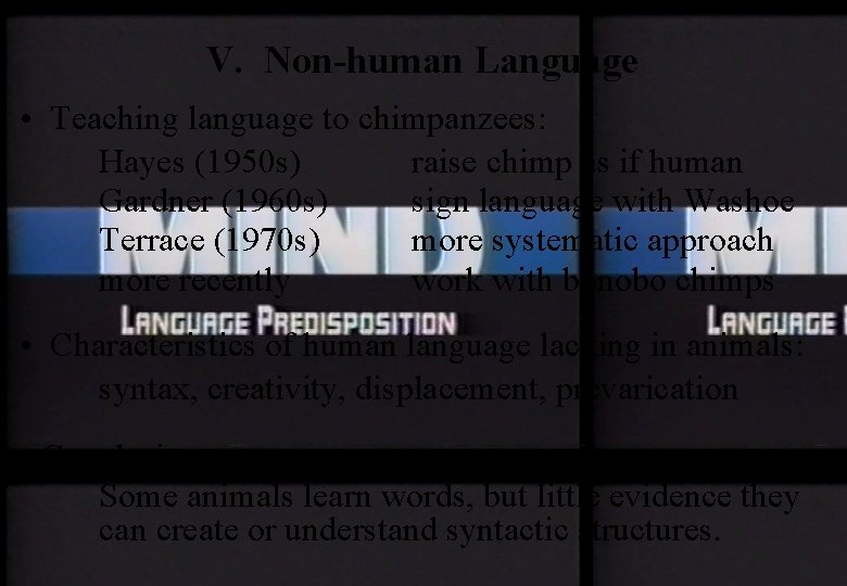 V. Non-human Language • Teaching language to chimpanzees: Hayes (1950 s) raise chimp as