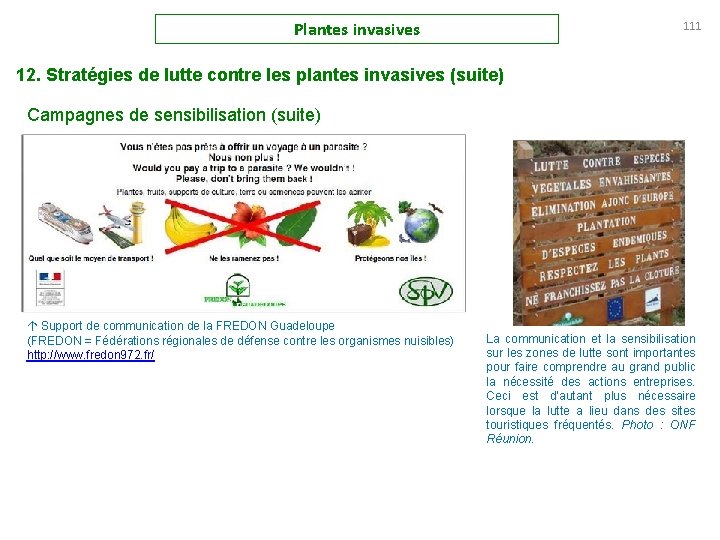 Plantes invasives 111 12. Stratégies de lutte contre les plantes invasives (suite) Campagnes de