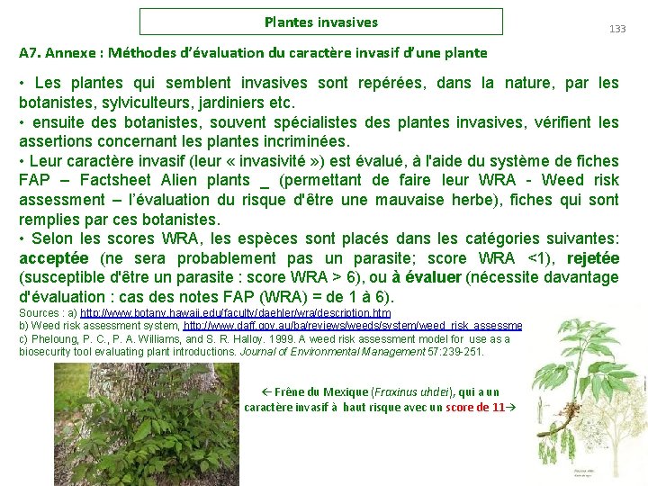 Plantes invasives 133 A 7. Annexe : Méthodes d’évaluation du caractère invasif d’une plante