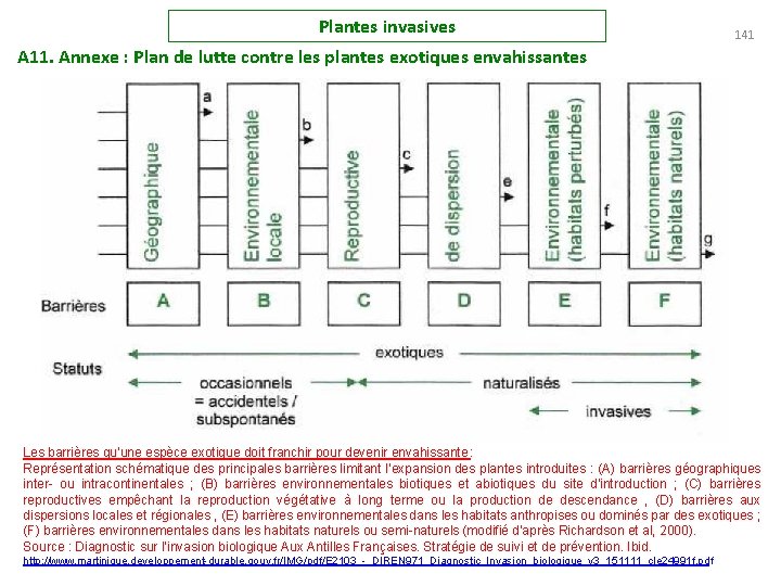 Plantes invasives 141 A 11. Annexe : Plan de lutte contre les plantes exotiques