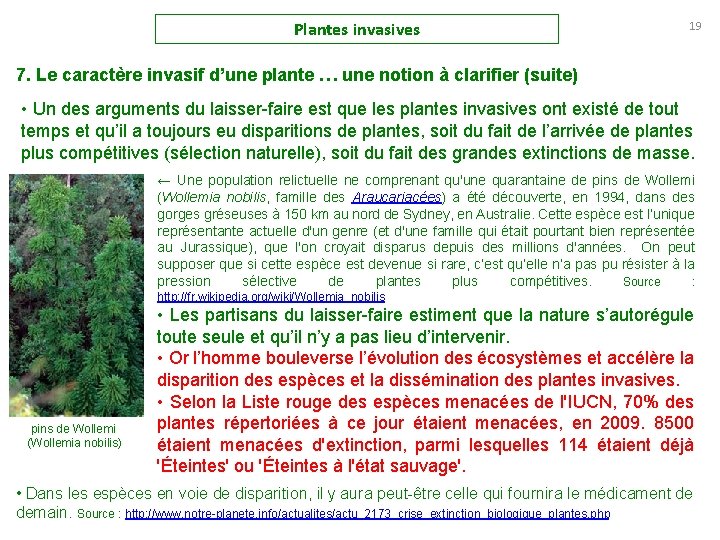 Plantes invasives 19 7. Le caractère invasif d’une plante … une notion à clarifier