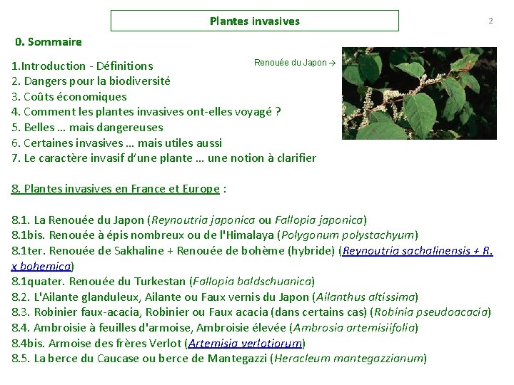 Plantes invasives 2 0. Sommaire Renouée du Japon → 1. Introduction Définitions 2. Dangers