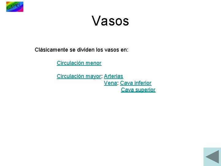 Vasos Clásicamente se dividen los vasos en: Circulación menor Circulación mayor: Arterias Vena: Cava