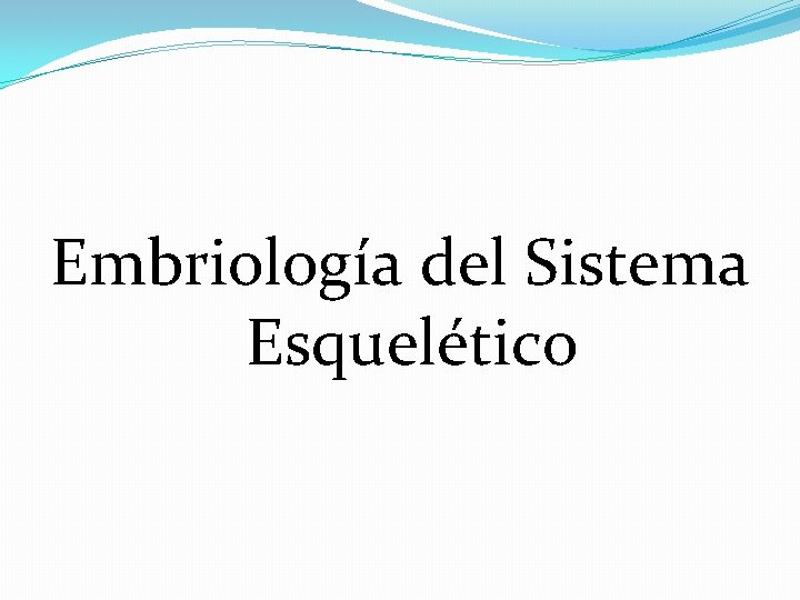 Embriología del Sistema Esquelético 