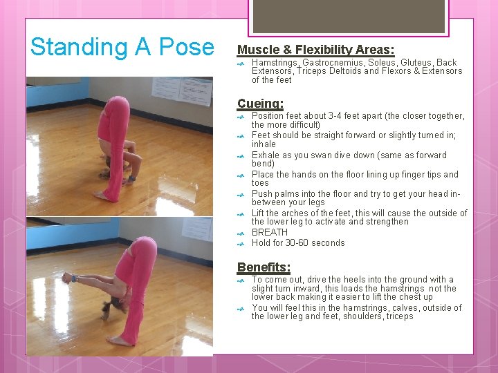 Standing A Pose Muscle & Flexibility Areas: Hamstrings, Gastrocnemius, Soleus, Gluteus, Back Extensors, Triceps