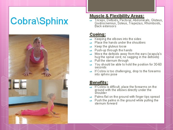 CobraSphinx Muscle & Flexibility Areas: Triceps, Deltoids, Pectoral, Abdominals, Gluteus, Gastrocnemius, Soleus, Trapezius, Rhomboids,