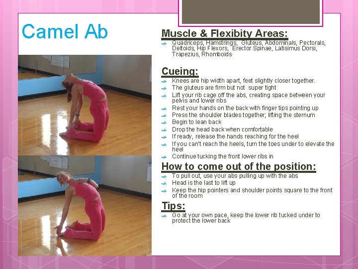 Camel Ab Muscle & Flexibity Areas: Quadriceps, Hamstrings, Gluteus, Abdominals, Pectorals, Deltoids, Hip Flexors,