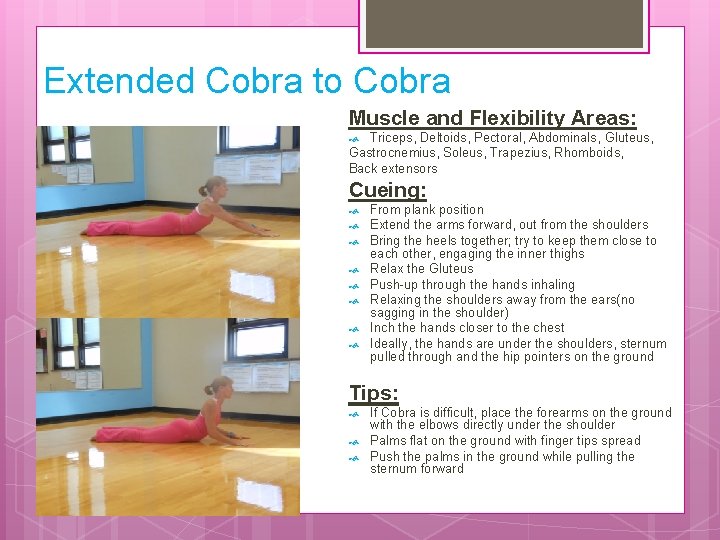 Extended Cobra to Cobra Muscle and Flexibility Areas: Triceps, Deltoids, Pectoral, Abdominals, Gluteus, Gastrocnemius,