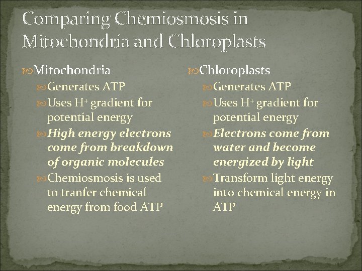 Comparing Chemiosmosis in Mitochondria and Chloroplasts Mitochondria Chloroplasts Generates ATP Uses H+ gradient for