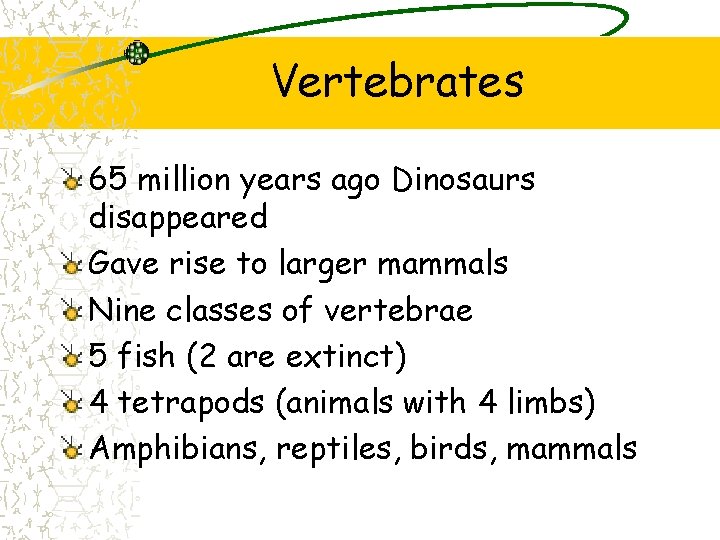 Vertebrates 65 million years ago Dinosaurs disappeared Gave rise to larger mammals Nine classes