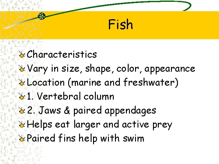 Fish Characteristics Vary in size, shape, color, appearance Location (marine and freshwater) 1. Vertebral