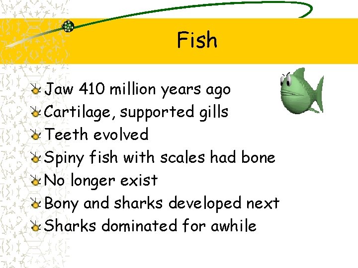 Fish Jaw 410 million years ago Cartilage, supported gills Teeth evolved Spiny fish with