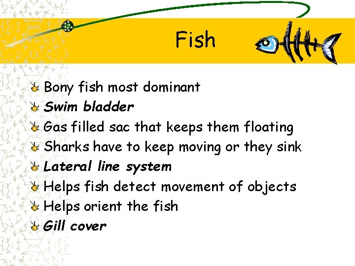 Fish Bony fish most dominant Swim bladder Gas filled sac that keeps them floating