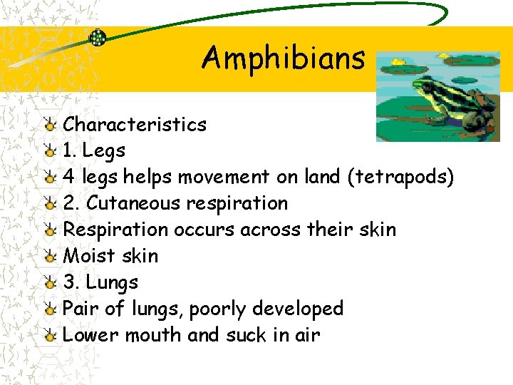 Amphibians Characteristics 1. Legs 4 legs helps movement on land (tetrapods) 2. Cutaneous respiration