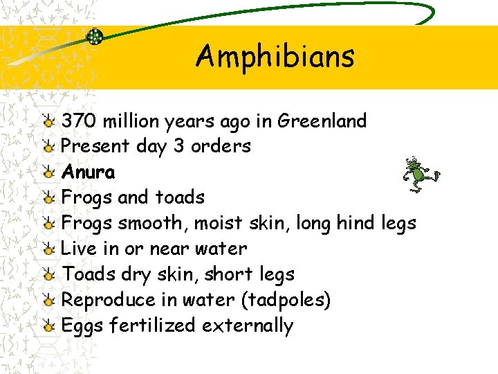 Amphibians 370 million years ago in Greenland Present day 3 orders Anura Frogs and