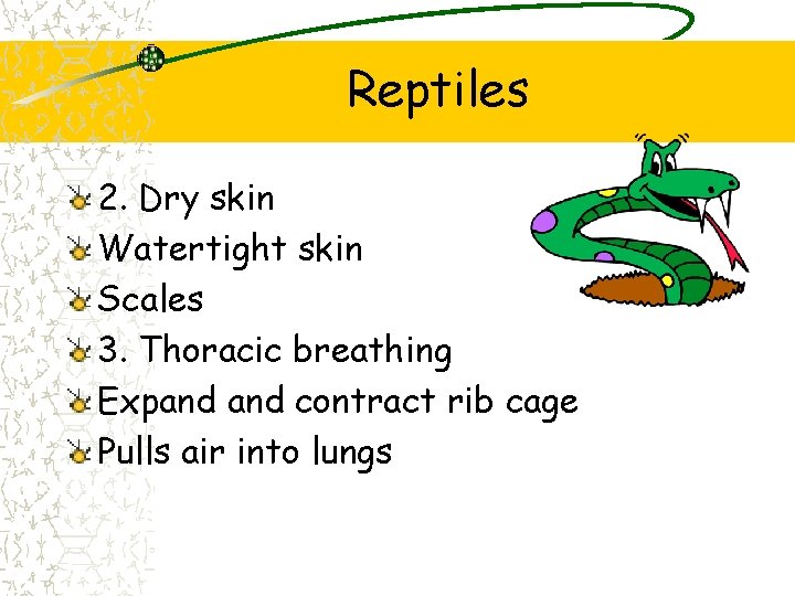 Reptiles 2. Dry skin Watertight skin Scales 3. Thoracic breathing Expand contract rib cage